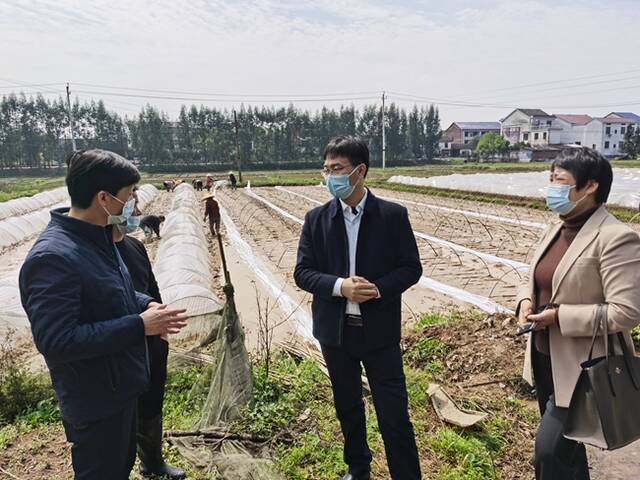 株洲市纪委监委聚焦疫情防控下的春耕备耕工作，深入田间地头开展督查