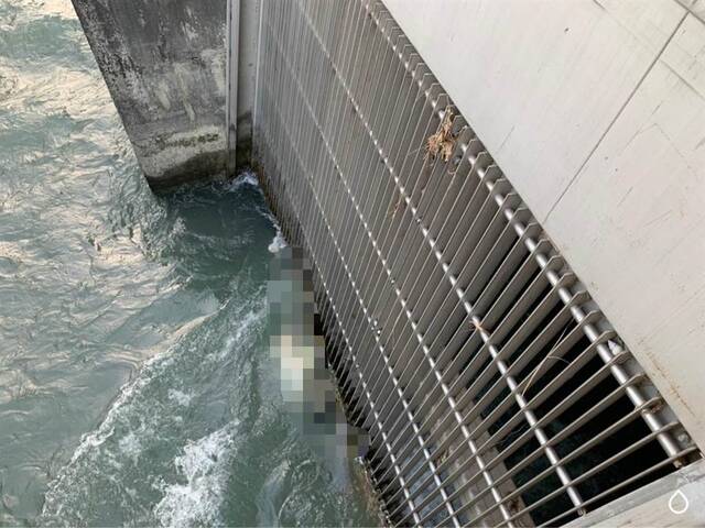 台媒：台南市一净水厂水门出现浮尸，死者家属3天前报告其失踪