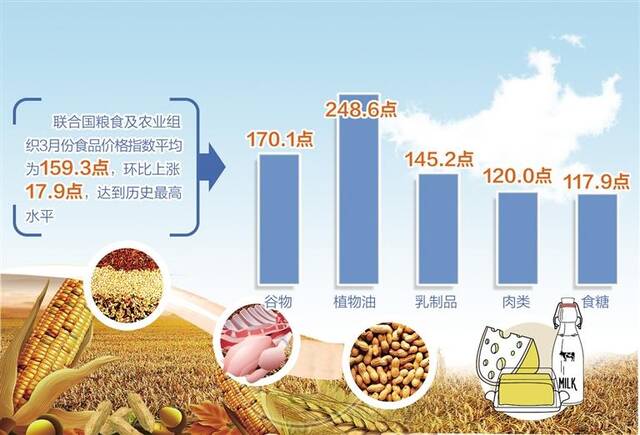 联合国粮农组织：世界粮价升至历史最高水平
