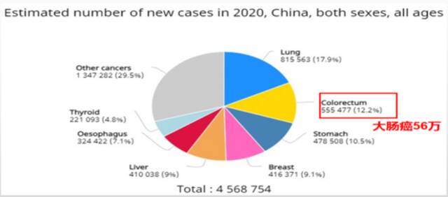 数据来源：全球肿瘤流行病统计数据库