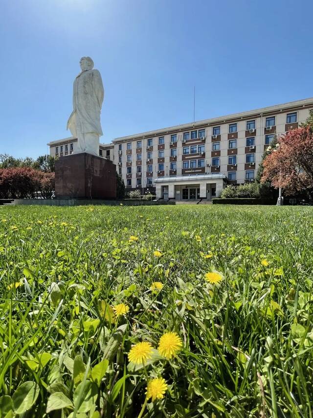 北地拾光  东风随春归，发我枝上花