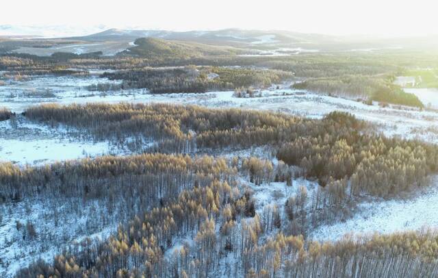 这是2022年3月1日拍摄的塞罕坝机械林场雪后的景色（无人机照片）。新华社记者杨世尧摄