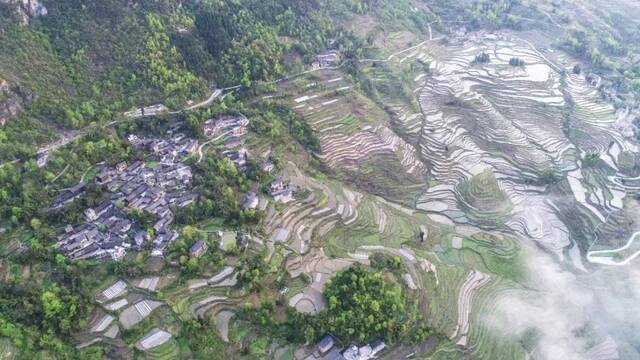 何家岩村酉阳县委宣传部供图