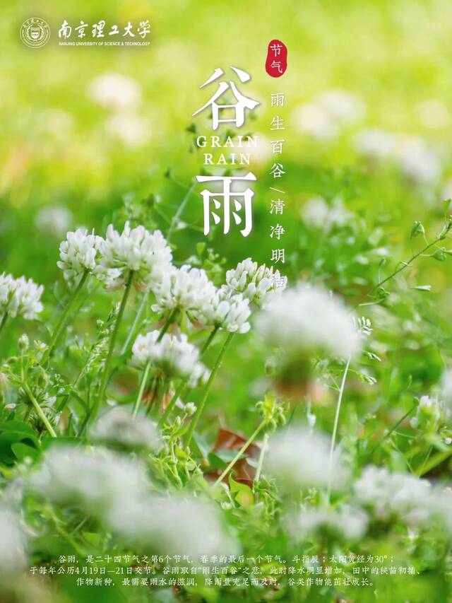 今日谷雨丨且惜春光，万物生长！看看南理工“花花世界”！