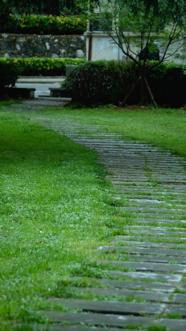 今日谷雨  始迎春来 送春归去