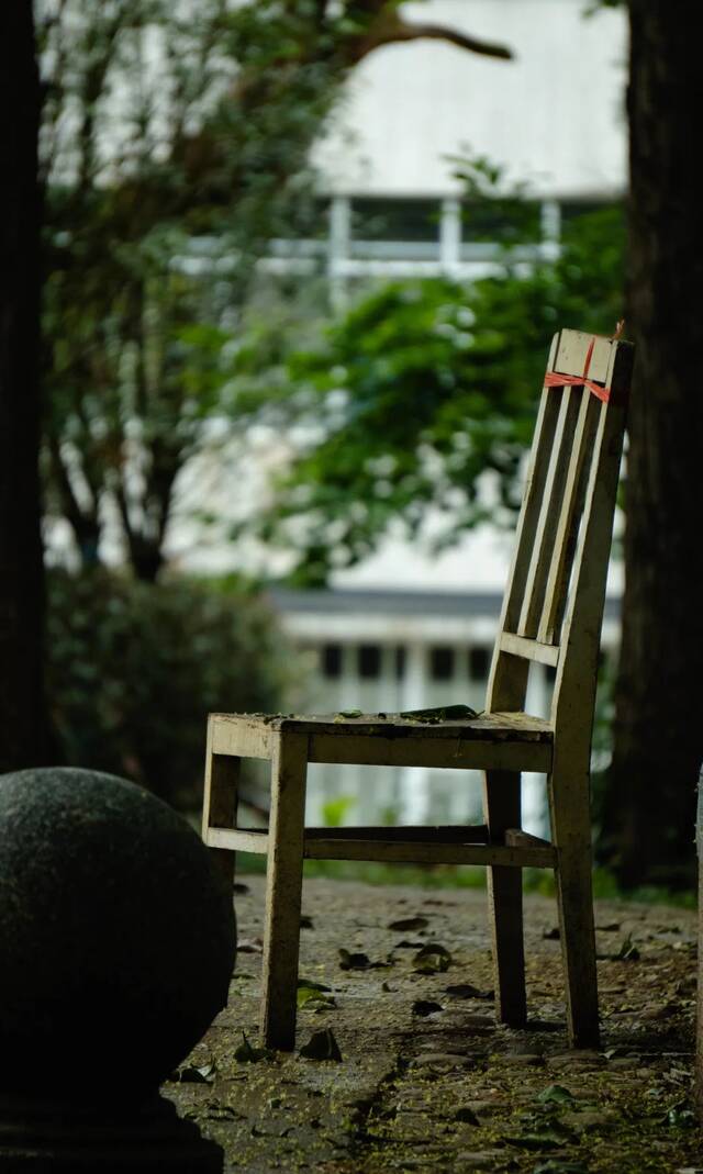 今日谷雨  始迎春来 送春归去