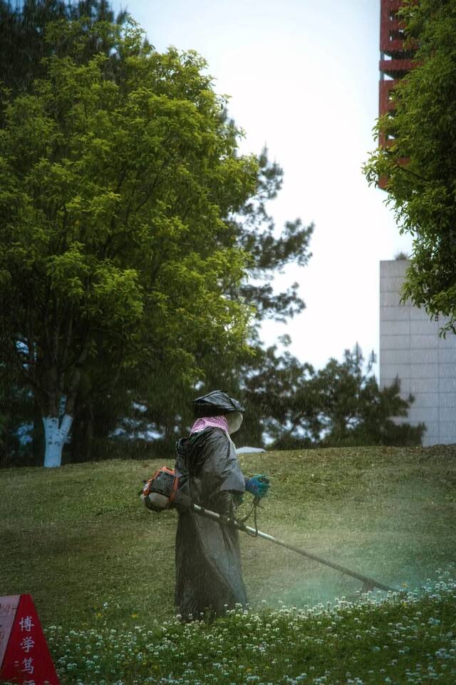 今日谷雨  始迎春来 送春归去