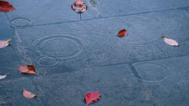 今日谷雨  始迎春来 送春归去