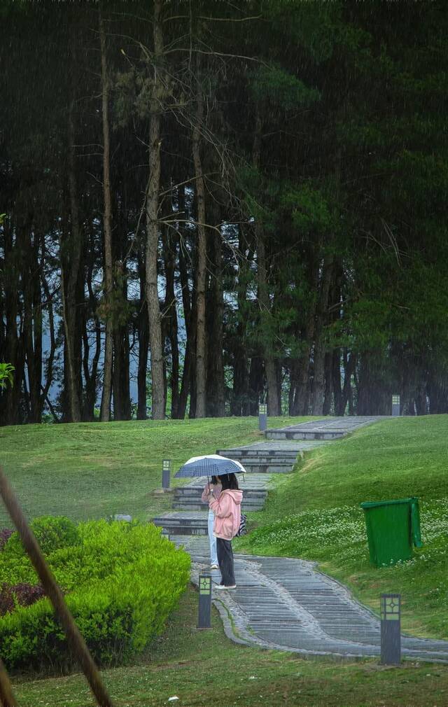 今日谷雨  始迎春来 送春归去