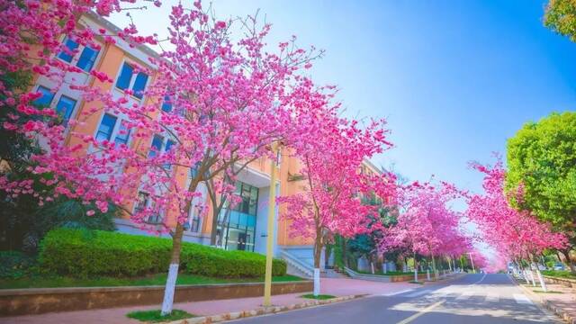 生日快乐，云南大学！