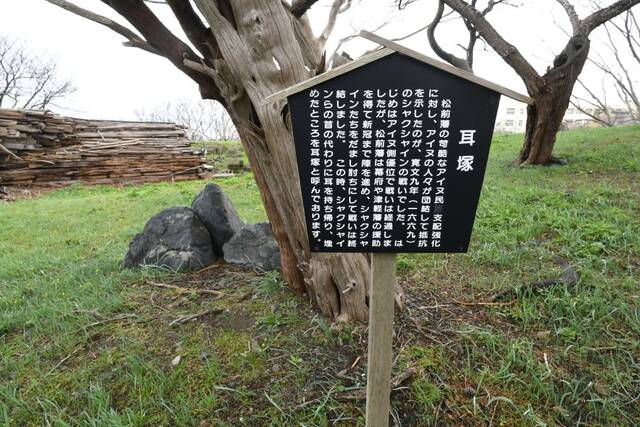这是4月13日在北海道松前城拍摄的耳冢。（新华社记者华义摄）