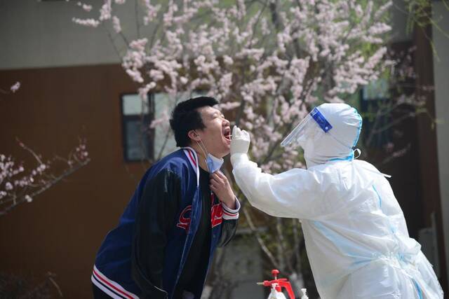 4月20日，在长春市一处核酸检测点，居民接受核酸检测采样。新华社记者张建摄