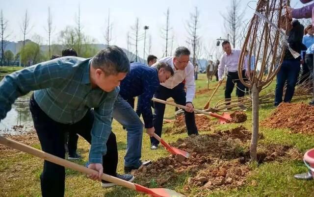 “植绿培根，育学育人”义务植树活动