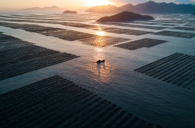 在福建省宁德市霞浦县三沙镇，渔船在夕阳余晖中归港（2020年11月26日摄，无人机照片）。新华社记者宋为伟摄