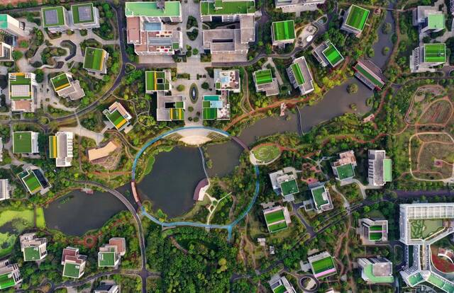 这是海南生态软件园园区（2020年4月1日摄，无人机照片）新华社记者郭程摄