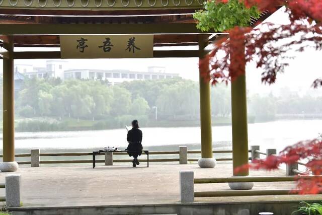 春暖花开日，正当读书时！一起来打卡吧！