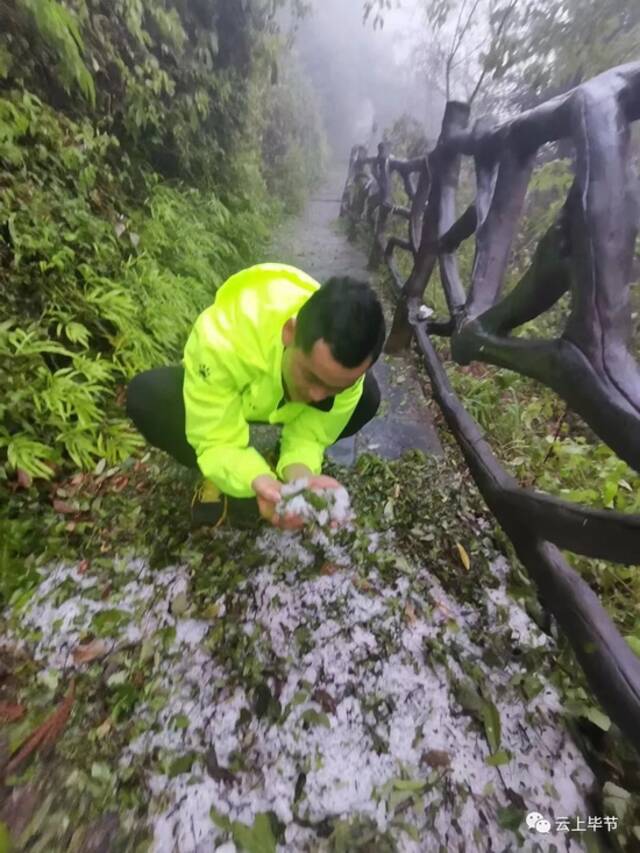 昨夜贵州一地突降冰雹！最大直径15mm