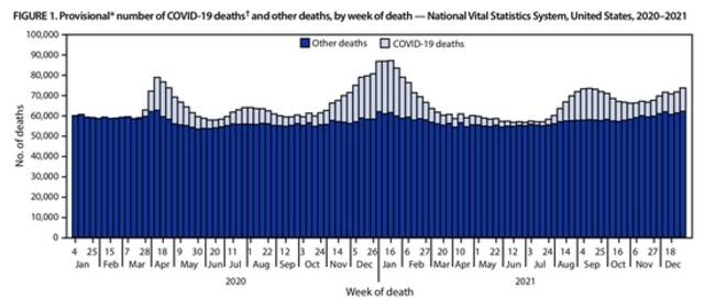 新冠连续两年成美国第三大死因：占13.3%，仅次于心脏病、癌症