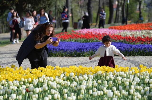 ↑4月15日，游客在土耳其伊斯坦布尔的埃米尔甘公园内用手机拍摄郁金香。新华社记者沙达提摄