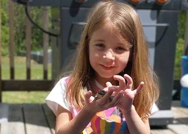 加拿大6岁女童对青蛙与蜘蛛等小动物情有独钟被同学排挤科学家群起声援
