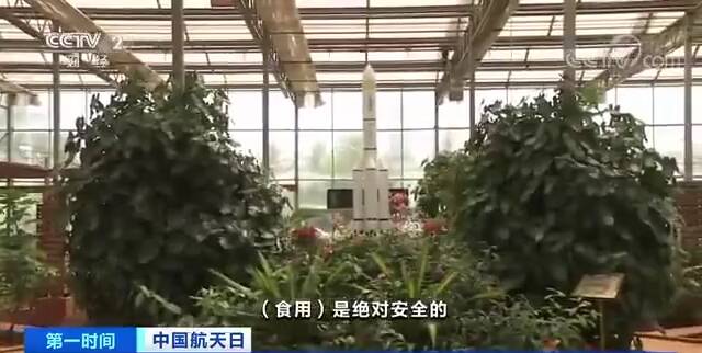 2000亿元大市场打开！餐桌上这些蔬菜瓜果都是“太空种子”后代