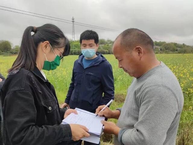 长沙市望城区纪检监察干部下沉田间地头监督，了解春耕生产措施落实情况