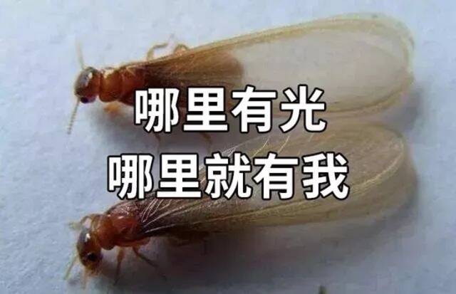 图源：深圳疾控