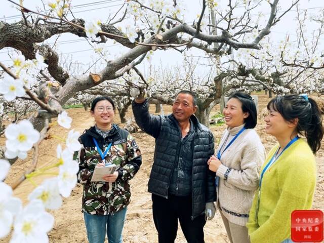 持续整治形式主义官僚主义突出问题