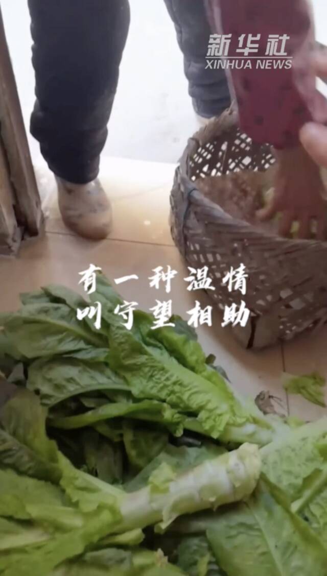 上海战疫看点｜幸好，我有个我们