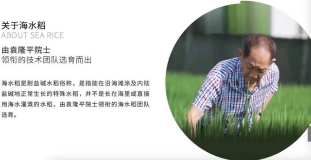 袁米公司宣传使用的袁隆平姓名和肖像。袁米公司官网图