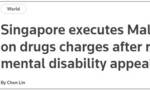 驳回7次申请后，新加坡对“智障毒贩”执行死刑