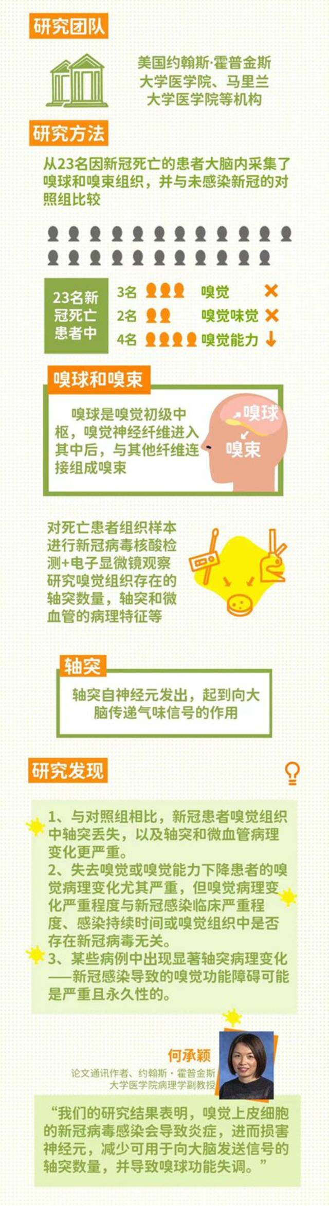 唠科｜新冠感染为何会导致嗅觉丧失？