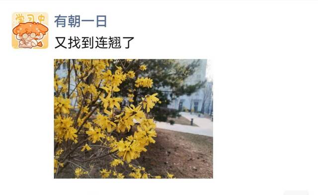 与东林的春光狭路相逢！领取你的“草莓种子”