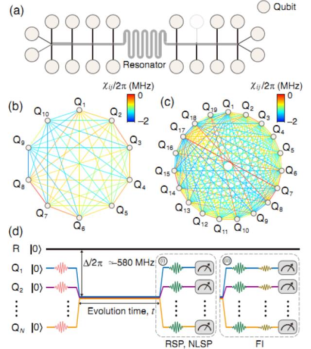 器件中19个量子比特位置，其相互耦合强度信息，以及测量线性和非线性压缩系数，量子费舍尔信息时的实验操作步骤，图片来自中科院物理研究所