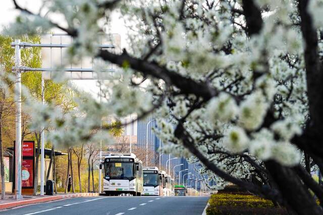 4月28日，几辆等待运营的公交车停靠在长春市街头。新华社记者许畅摄