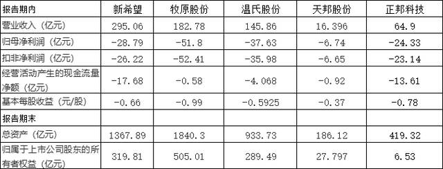 五大上市猪企2022年一季度主要财务数据，数据来源：各企业一季报，制表：澎湃新闻