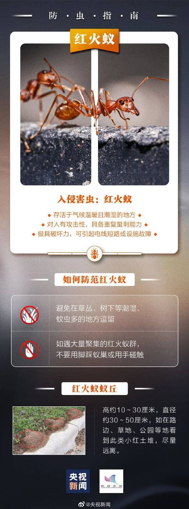 警惕！这种“毒虫”近期活跃！有人被咬住进ICU，深圳疾控提醒