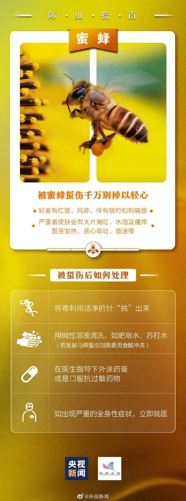 警惕！这种“毒虫”近期活跃！有人被咬住进ICU，深圳疾控提醒