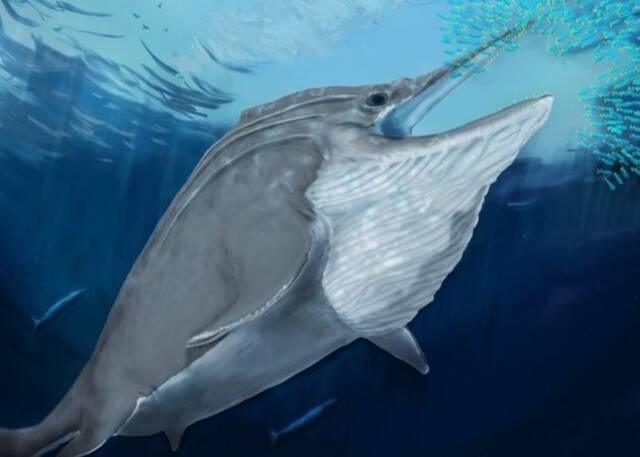 阿尔卑斯山出土2.5亿年前鱼龙化石曾是有史以来最大的动物
