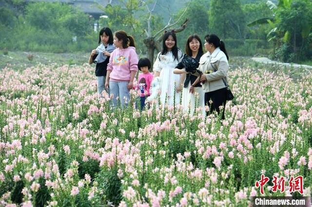 市民在孔元村赏花。王东明摄