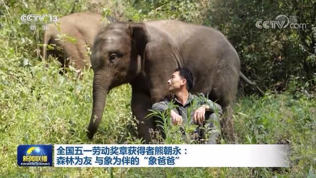 全国五一劳动奖章获得者熊朝永：森林为友 与象为伴的“象爸爸”