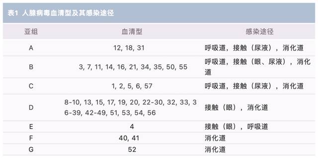 图源：微信公众号“华山感染”