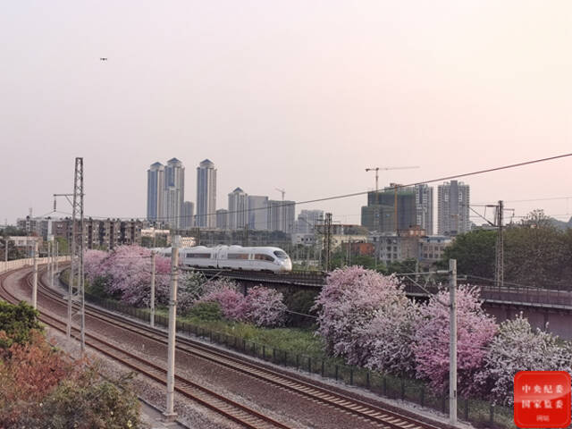 镜头  春末夏初好风光