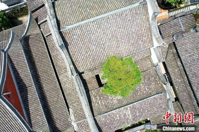 空中俯瞰林阳寺。王东明摄