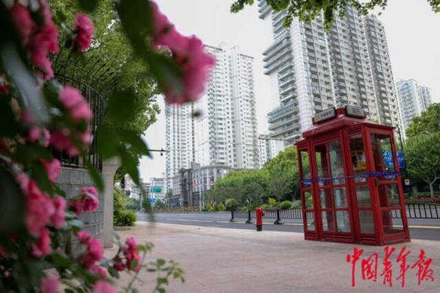 5月3日，上海市黄浦区，“电话亭女士”曾暂住的电话亭，位于海华小学门口的马路边。中青报·中青网记者李强/摄