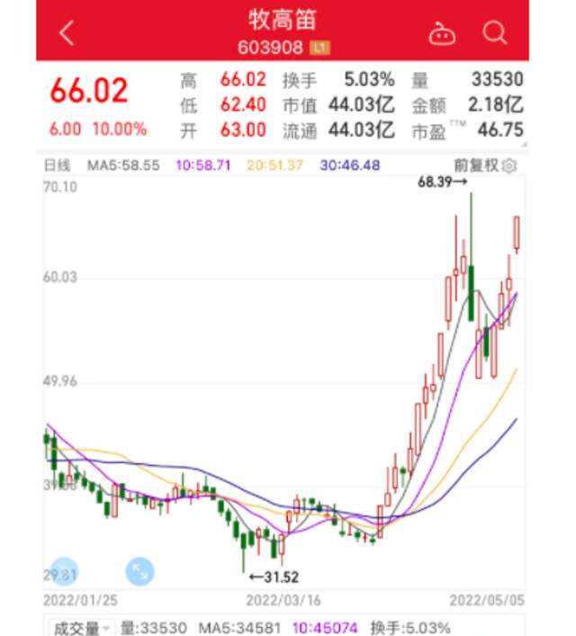 露营火爆背后：营地经营者3个月就回本，有公司股价一个月涨超7成