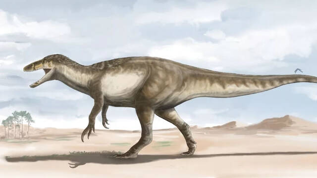 阿根廷发现白垩纪顶级掠食者恐龙化石以体型较小的恐龙为食