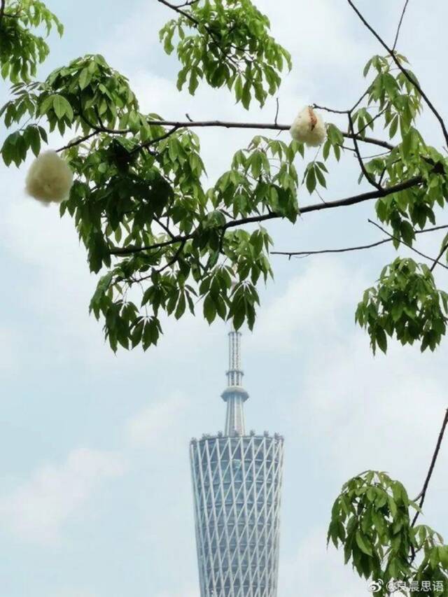 广东多地暴雨上线！又到“飘雪季”，这类人群注意