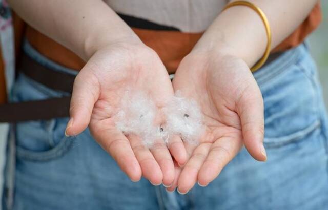 广东多地暴雨上线！又到“飘雪季”，这类人群注意