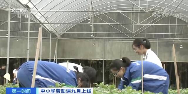 教育部明确，中小学生要学煮饭修家电了！具体怎么学